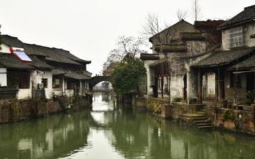 东城区：让“汪星人”乖巧懂礼 “文明养犬在行动”主题活动手把手教您